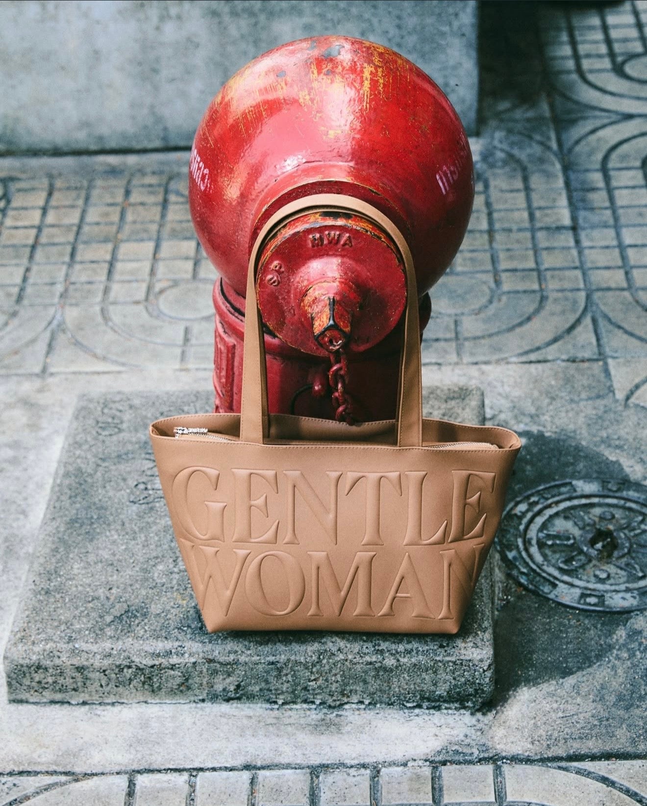 Gentle Woman Daily Bag