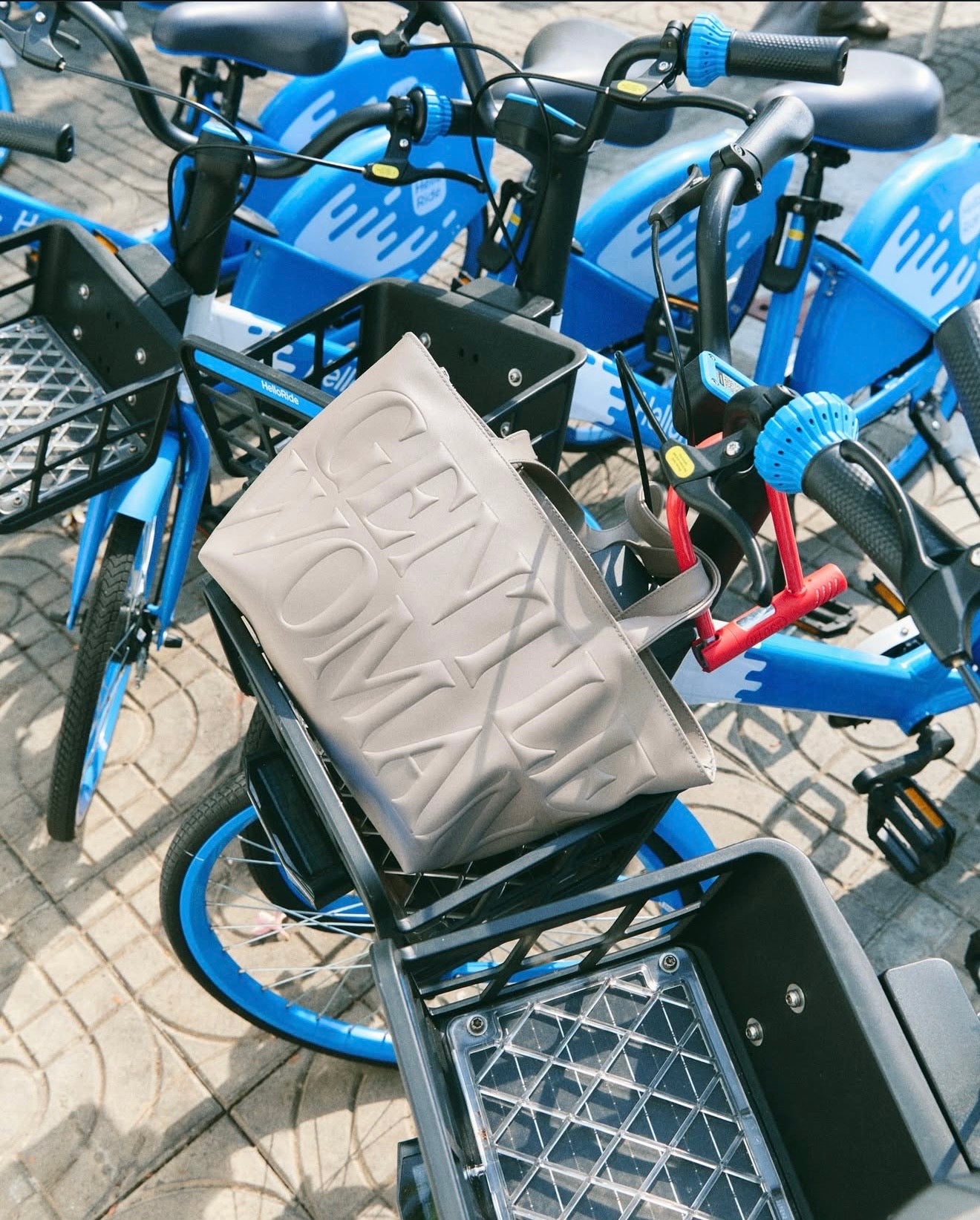 Gentle Woman Daily Bag